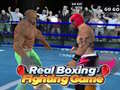 Gioco Real Boxing Fighting Game