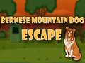 Gioco Bernese Mountain Dog Escape