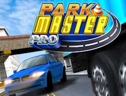 Gioco Parco Maestro Pro .
