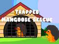 Gioco Trapped Mangoose Rescue