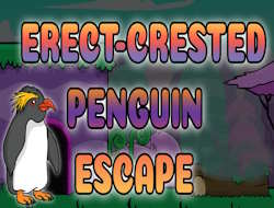 Gioco Fuga del pinguino crestato eretto .