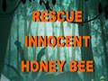 Gioco Rescue Innocent Honey Bee 