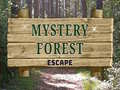Gioco Mystery Forest