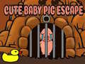 Gioco Cute baby Pig escape