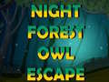 Gioco Night Forest Owl Escape