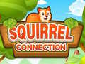 Gioco Squirrel Connection