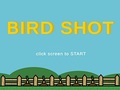 Gioco Bird Shot