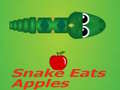Gioco Snake Eats Apple