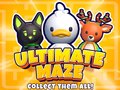 Gioco Ultimate Maze! Collect Them All!