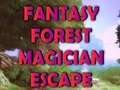 Gioco Fantasy Forest Magician Escape