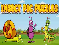 Gioco Puzzle con foto di insetti .