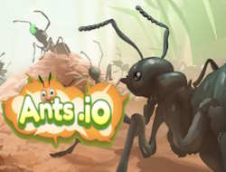 Gioco Formiche. io 