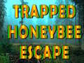 Gioco Trapped Honeybee Escape