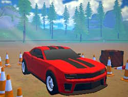 Gioco PARCHEGGIA .