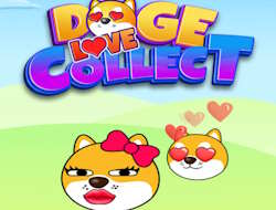 Gioco Raccolta del Doge 
