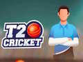 Gioco T20 Cricket