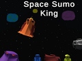 Gioco Space Sumo King