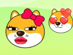 Gioco Amore Doge 