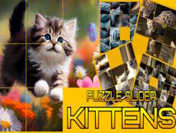 Gioco Puzzle Gattini Scorrevoli .