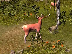 Gioco Caccia al cervo .