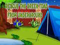 Gioco Rescue The Green Toad From Underground
