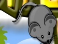 Gioco Cheese Hunt