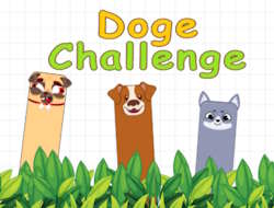 Gioco Sfida del Doge 