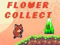 Gioco Flower Collect