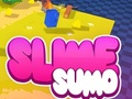 Gioco Sumo Slime 3D