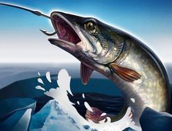 Gioco Pesca sul ghiaccio 3D .