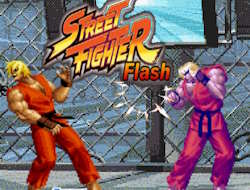 Gioco Flash del combattente di strada .