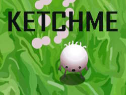 Gioco Ketchme