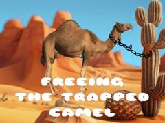 Gioco Freeing the Trapped Camel