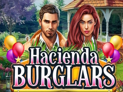 Gioco Hacienda Burglars