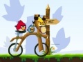 Gioco Angry Birds Bike Revenge