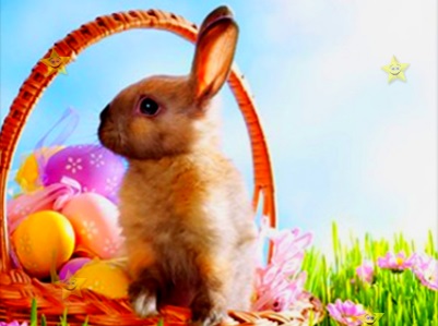 Gioco Stelle nascoste del tempo di Pasqua .