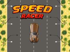 Gioco Speed Racer