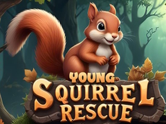 Gioco Young Squirrel Rescue