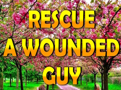 Gioco Rescue A Wounded Guy