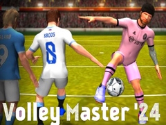 Gioco Volley Master '24