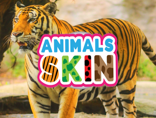 Gioco Pelle di animali .