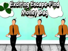 Gioco Exciting Escape Find Money Bag