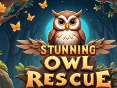 Gioco Stunning Owl Rescue