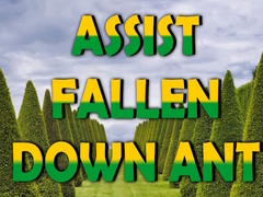 Gioco  Assist Fallen Down Ant