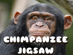 Gioco Chimpanzee Jigsaw