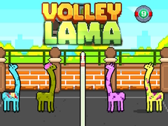 Gioco Volley Lama