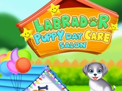 Gioco Labrador Puppy Daycare Salon