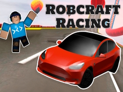 Gioco Robcraft Racing