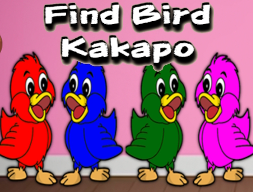 Gioco Trova l'uccello Kakapo 