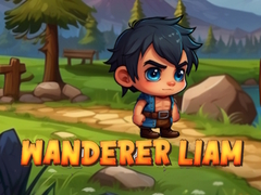 Gioco Wanderer Liam